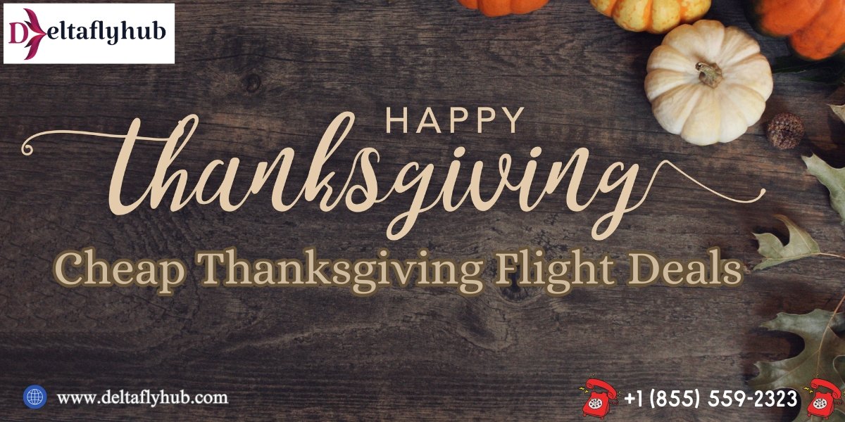 Cheap Thanksgiving Flight Deals 2024