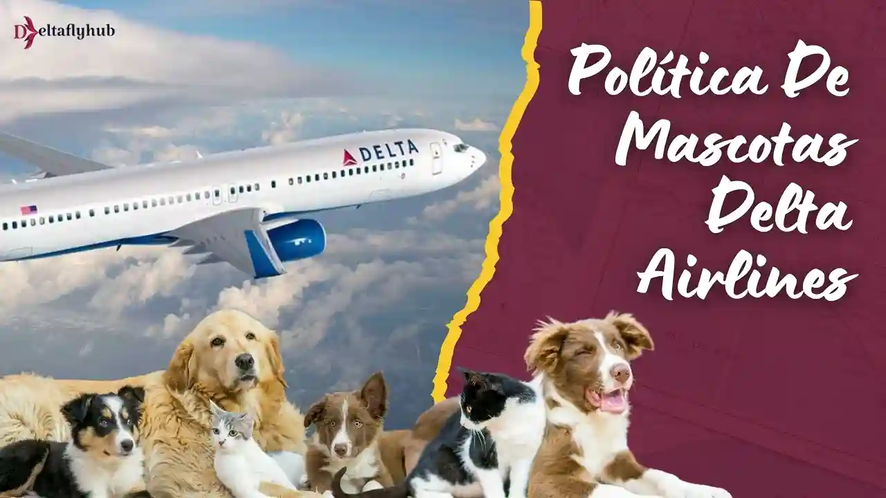 Política de mascotas Delta Airlines